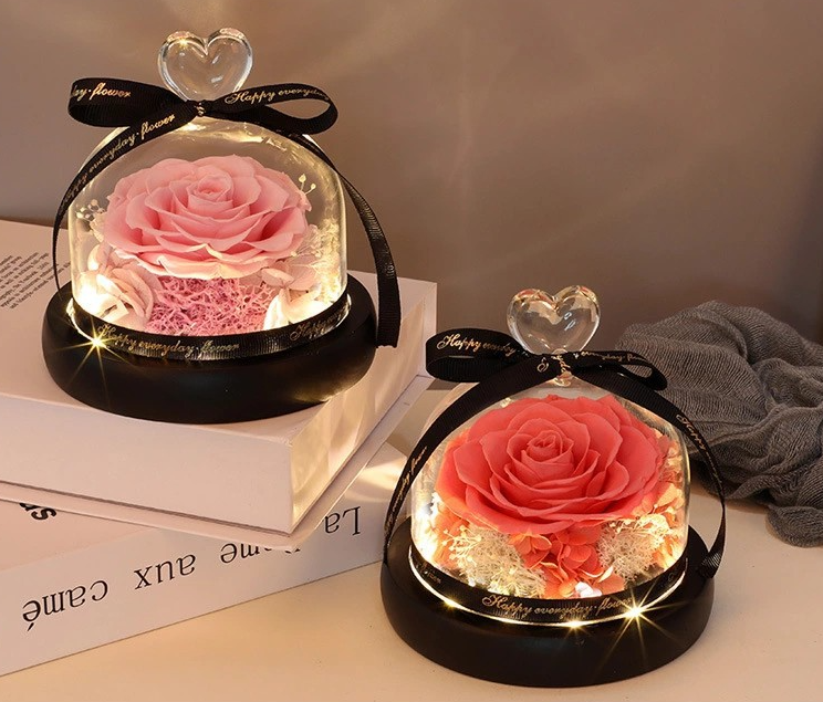 Rose in Glass